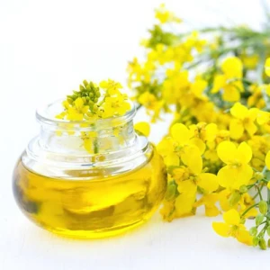 Refined Rapeseed Oil, Pure Oil Extracted From Rapeseed