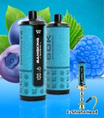 Bangking Shisha Flavor 60k puffs digital screen vaper hookah flavor