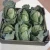 Import cabbage from Egypt