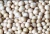 Import Bambara Nut from Nigeria