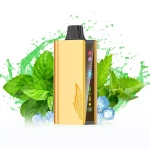 Bulk Wholesale JNR Cruiser 12000 Puffs Tgo 110 Compliant Therapeutic Vape Device Smoking Cessation Supply
