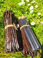 Vanilla Beans