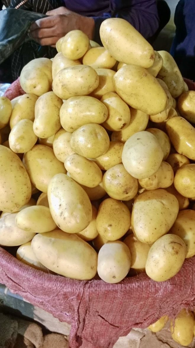 Table Potatoes Buy Fresh Table Potatoes from Ardlink (smc-pvt) Ltd, Pakistan ...