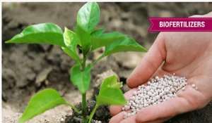 Bio-fertilizers