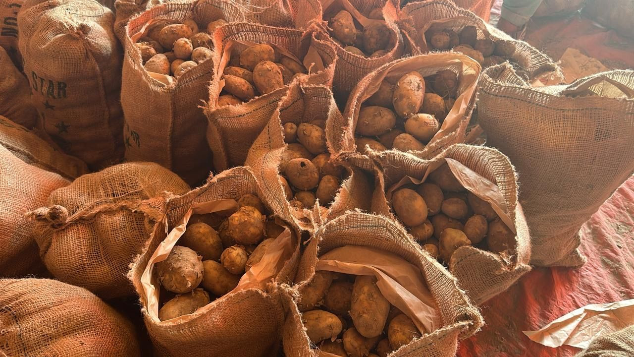 Table Potatoes Buy Fresh Table Potatoes from Ardlink (smc-pvt) Ltd, Pakistan ...