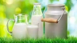 Whole Pure Milk