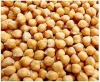 Buy Chickpeas Online from a Reliable International Supplier