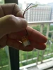 Li-polymer battery 3.7v 30mAh, EHS-401012 Li-ion polymer battery