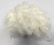 Import 0.8D-5D white bamboo fiber price from China