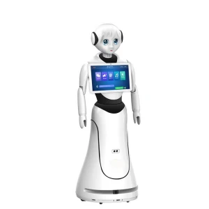 AI Intelligent Robot Programmable Talking Robot Respond To Human Interaction Commercial Business Scenarios