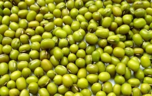 Green Mung Beans