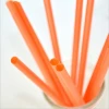 Biodegradable straw