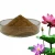 Import Dried Lotus Flower ( Nelumbo Nucifera ) or Sacred Flower from Indonesia
