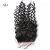Import Top Quality Virgin Hair Lace Closure Curly Natural Color from China