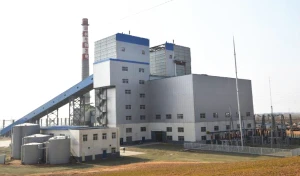Biomass boiler