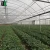 Import 10 years warranty etfe agricultural greenhouse film mushroom greenhouse film greenhouse plastic sheet film for agricultural use from China