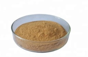 100% Natural plant ashwagandha root extract powder 20:1