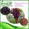 100% Natural Red Grape Seed Extract