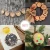 Import 10pce wooden christmas decoration natural unfinished wood slices home decor round wooden slice for crafts diy ornaments from China