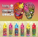 12000 Puffs Disposable E Cigarettes Vape Device 650mAh Battery Bang Box 12K