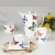 Import 15pcs Bone china european royal household coffee set tea set cup and saucer from China
