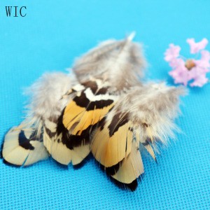2-4 Inch Hot-selling Factory Directly Supply Luohe Feather Artificial White Golden Pheasant Plumage Trim