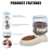 Import 2 in 1 New Design Automatic Pet Dog Food Feeder, Automatic Pet Water Dispenser Water Drinking Fountain with Non Skid feet from China