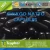 Import 2017 Good Factory Natto Kinase Hard Capsules from China