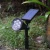 2018 Hot Sell Garden LED Landscape Lamps Solar Garden Lights With RGB Color changing