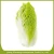 Import 2019 new crop fresh chinese celery cabbage from China