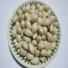 2020/ 2021 Bai Guo Wholesale Best Quality Ginkgo Nuts