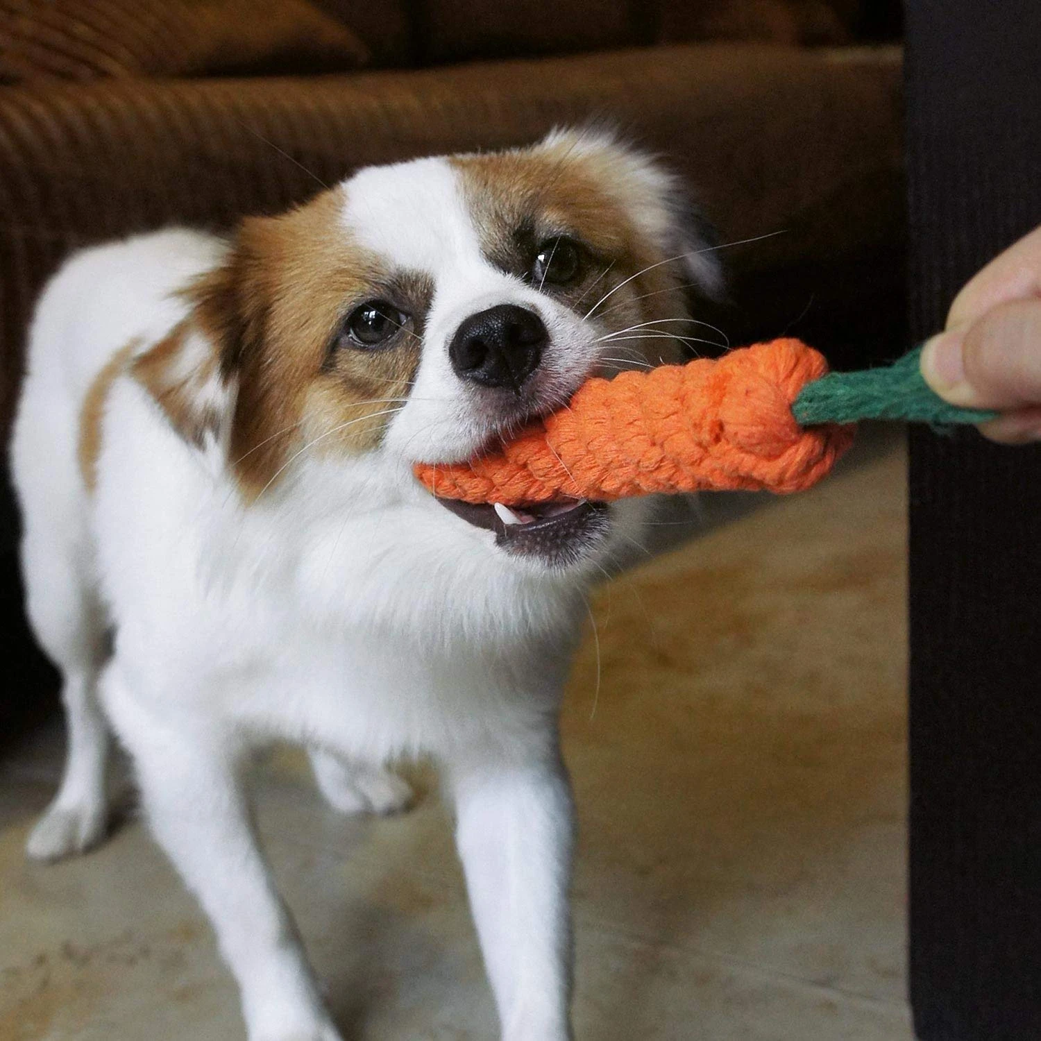 2020 Amazon Popular Puppy Chew Toy Pack Eco Friendly Interactive Bite Dog Tug Felt Rope Toy