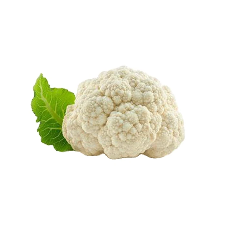 2020 Green leaf Vegetatables White Cauliflower From Gansu China