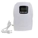 2020 Household water and air ozonator ozone fruit and vegetable purifier