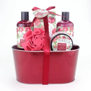 2020 The newest private logo bath products wholesale China supplier OEM  bath gift sets for women