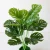Import 2021 Artificial Palm Plants Leaves Faux Turtle Leaf Party Decorations Home Outdoor Indoor Decor Artificial Plastic Palm Leaves from China