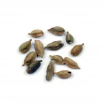 2021 Best Price Wholesale Thai Newest Crop Cardamom / Green Cardamom In Bulk