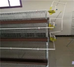 3 tiers 120 birds commercial egg layer galvanized welded metal steel chicken cage