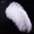 Import 30-32in/75-80cm Dyed Colored White Thick Big Rods Ostrich Plume Cheap Import Large Fluffy Ostrich Feathers Wedding from China