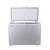 Import 309L Large 70mm DC 12V/24V Solar Freezer With Factory Price from China