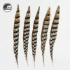 32-36 Inch(80-90 cm)Chinese Top Manufacturer Best Selling Cheap Large Natural Reeves Pheasant Tail Feathers