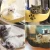 Import 3pcs suction cups removable cat beds boat shape felt cat hammock with soft cushion from China