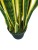 Import 50cm 75cm 90cm indoor ornamental artificial yellow snake plant sansevieria from China