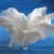 Import 55-60cm South Africa White ostrich Feathers Wedding Ostrich Feathers from China