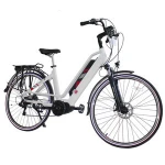 700C 1000w 48V 20Ah battery electric bike, 60km/h high speeds electric bike/vintage electric bicycle battery