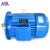 Import 7.5kw 11kw 15kw 18.5kw 22kw 30kw 37kw 55kw 75kw 110kw 380v 460v 660v 3 Phase Electric AC Induction Motor from China
