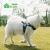 Import Adjustable Modern Camo Saddle  Pet Dog Chest Straps Drytek Mesh  Back Padding Dog Cooling Pet Harnesses from China