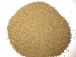Alfalfa seeds(Lucerne)