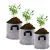 Import Amazon Eco-Friendly vegetable Flower non-woven planter grow bag for garden  plant from China