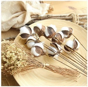 Artificial Flowers Long Stem Single Dried Cotton from China